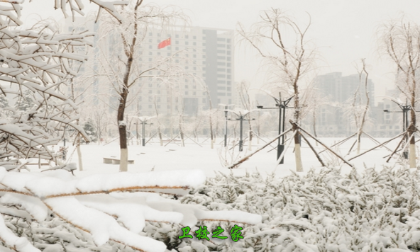 雪景