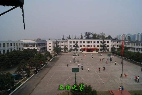 四川省郫县友爱职业技术学校的校园环境怎么样