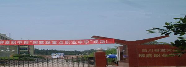 宜宾柳嘉职业中学校是什么性质的学校