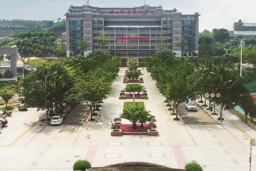 眉山职业技术学院是公办还是民办学校