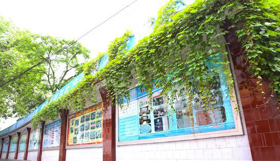 四川省质量技术监督学校哪些专业比较好