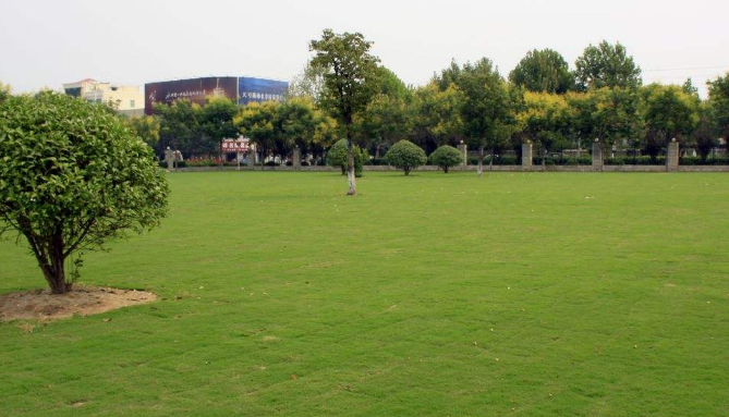 重庆市公共卫生学校环境、环境怎么样 重庆市公共卫生学校环境、环境怎么样