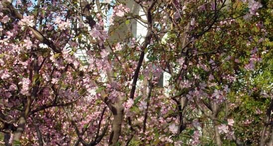 重庆市医药科技学校