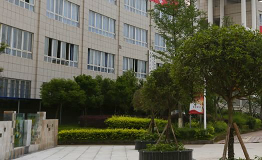 广安职业技术学院网址网站多少