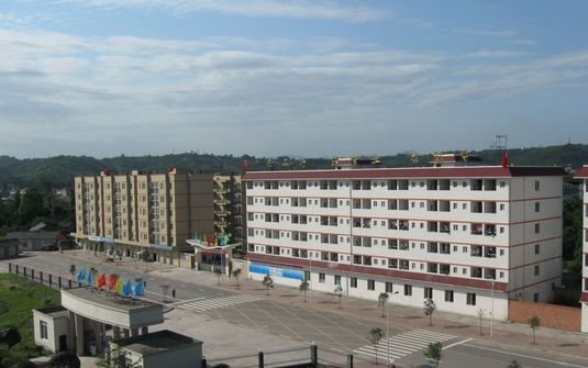 眉山电子职业技术学校网址网站多少