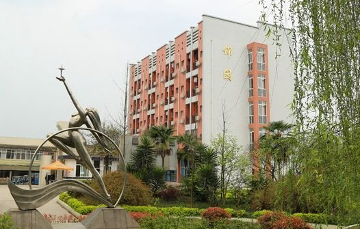 就读眉山工程技师学院学生可以获得哪些证书