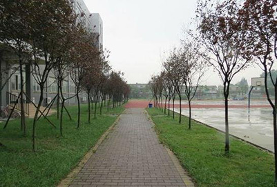 五年制大专招生重庆五一高级技工学校