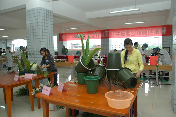 插花艺术选手在全神贯注地比赛