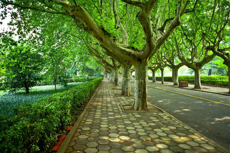 重庆市南丁卫生职业学校涉外护理专业2018年开办的怎么样？