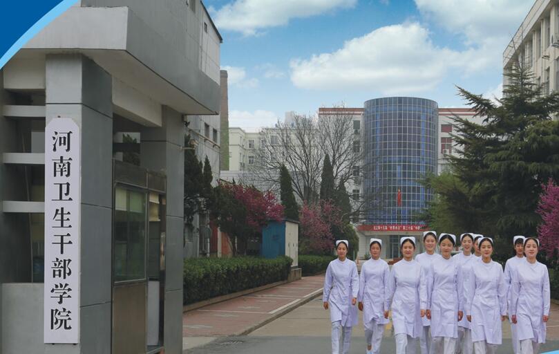 æ²³åå«çå¹²é¨å¦é¢