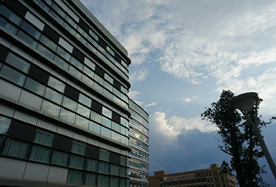 西南大学医学院2019年招生简章及计划