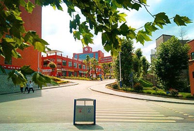 2019年重庆市护士学校网站网址联系方式