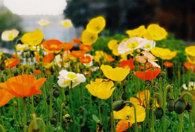 重庆市万州卫生职业学校有哪些专业及什么专业好