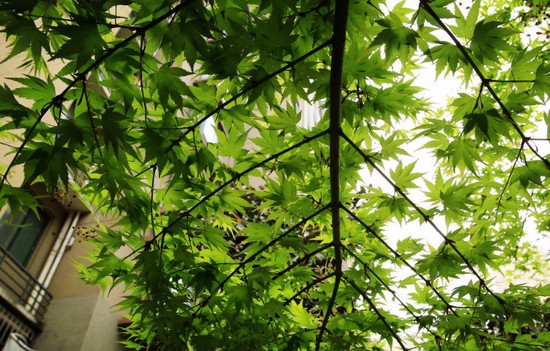 重庆市医科学校有哪些专业及什么专业好