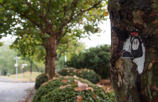 重庆市渝西卫生学校有哪些专业及什么专业好