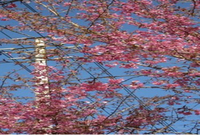 昆明市理工大学医学院招生录取分数线