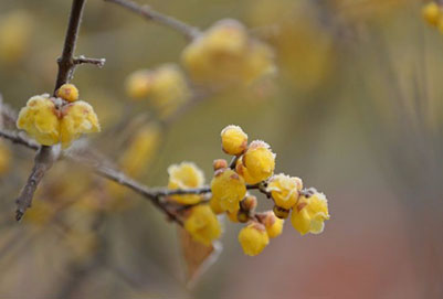 重庆市医药科技学校有哪些专业及什么专业好