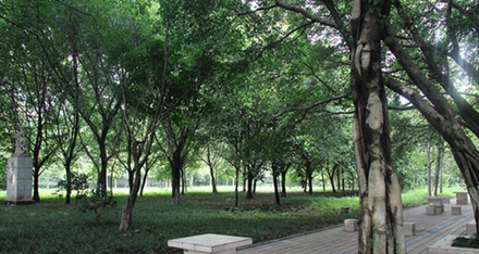 重庆知行卫生学校