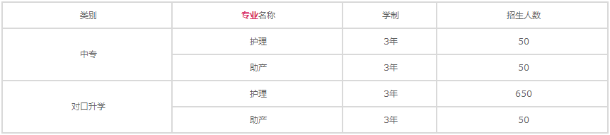 重庆市南丁卫生学校2020年招生计划