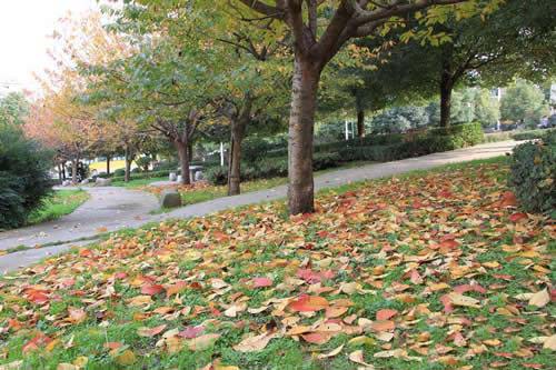 重庆涪陵第一职业中学校2020年有哪些助学政策