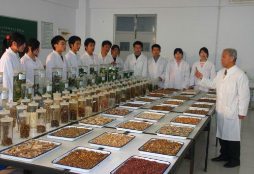 贵州省中职护理学校有哪些专业【专业介绍】