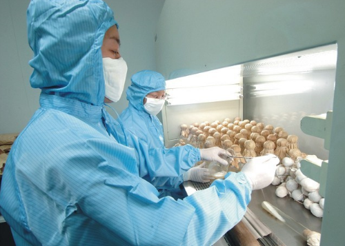 贵阳市经济技术学校生物技术制药专业招生简介