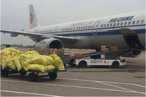 贵阳市精工科技学校民航物流专业招生（五年制大专）