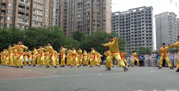 四川交通运输职业学校武术表演