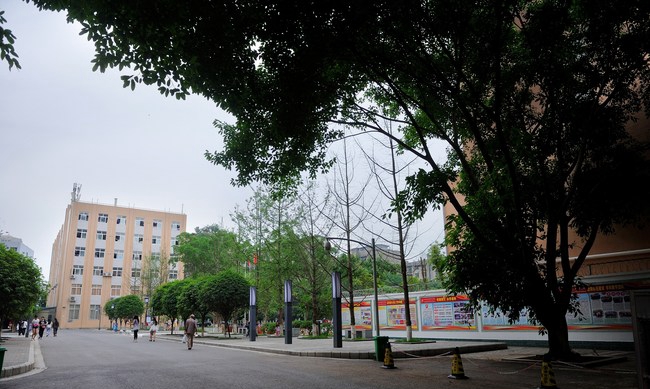 四川省资阳师范学校校园大道