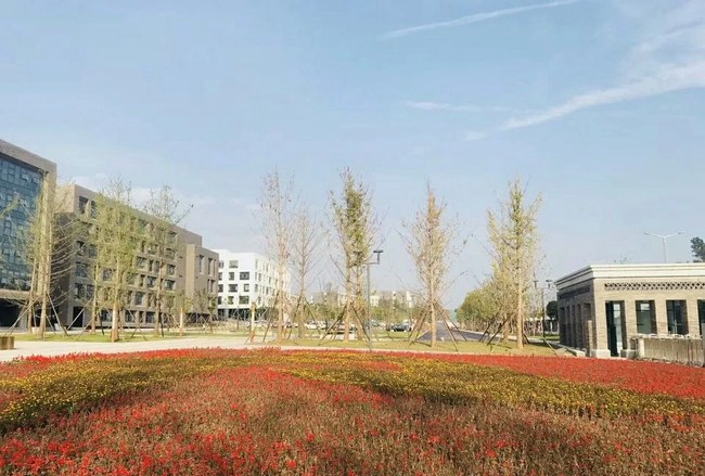 四川卫生康复职业学院新校区绿化校园