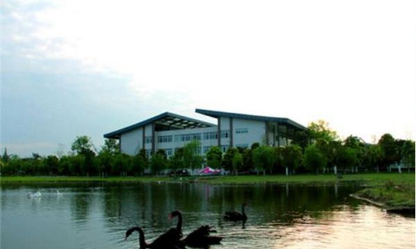 四川省旅游学校静静的图书馆