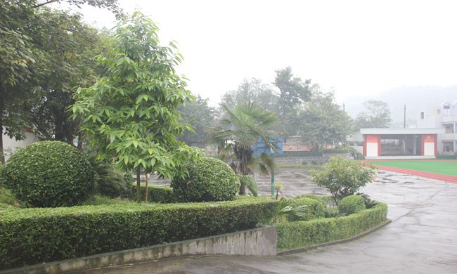 自贡市影视艺术学校（自贡影视学校）绿色青葱