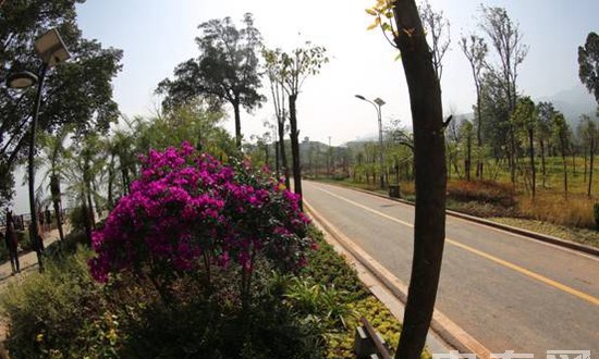 凉山州职业技术学校(西昌铁路职业技术学校)校园道路