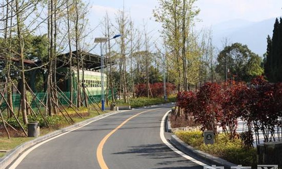 凉山州职业技术学校(西昌铁路职业技术学校)校园绿化