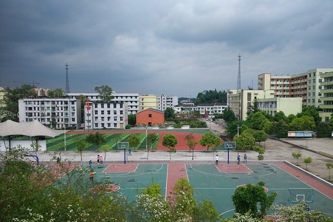 宜宾县柳嘉职业技术学校(柳嘉职业中学)塑胶篮球场