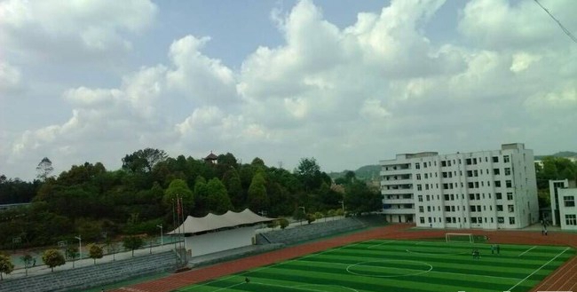 宜宾县柳嘉职业技术学校(柳嘉职业中学)塑胶足球场