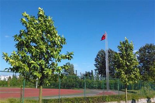 内江铁路机械学校成都校区（郫县安德镇）运动场一角