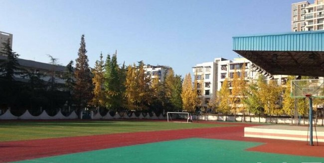 成都技师学院南校区（崇州技师学院）蜀州路校区运动场