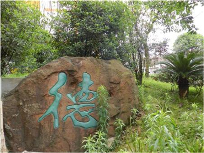 南充市特殊教育学校图片、照片