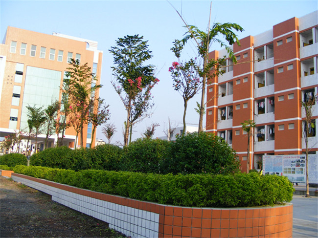 泸州市电子机械学校图片、照片