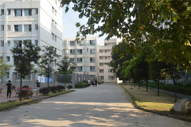 遂宁市职业技术学校图片、照片