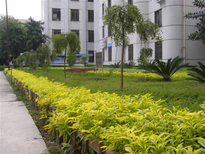 攀枝花市经贸旅游学校图片、照片