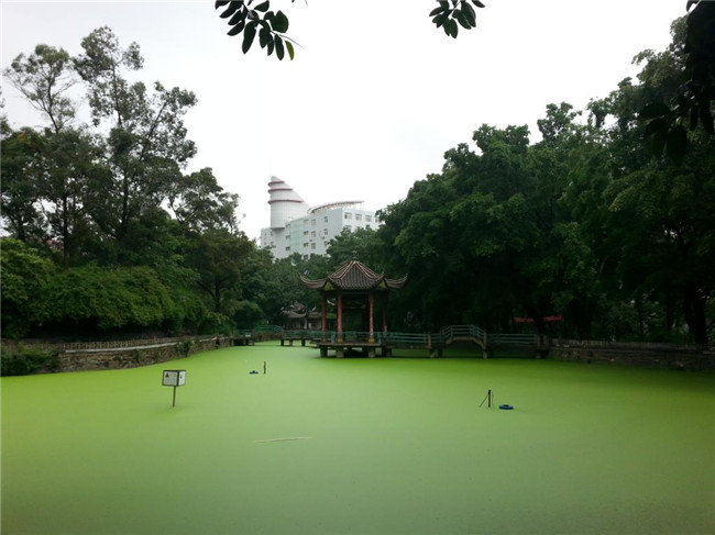 四川省机电职业技术学院图片、照片