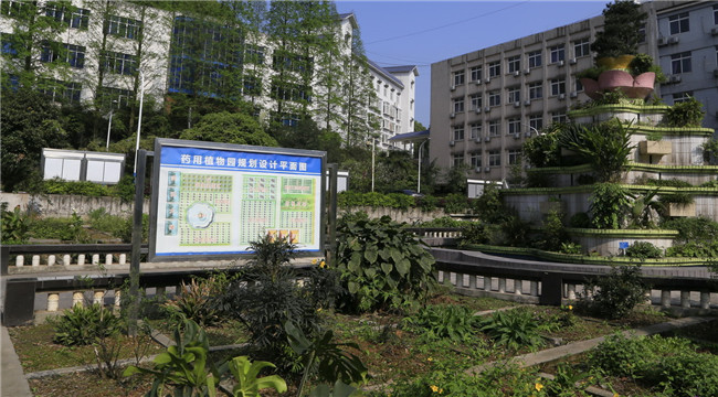 四川省食品药品学校图片、照片