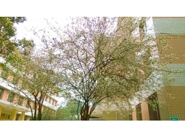 四川省质量技术监督学校图片、照片