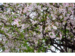 四川省质量技术监督学校图片、照片