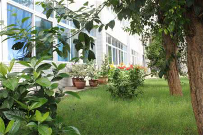 攀枝花市华森职业学校图片、照片