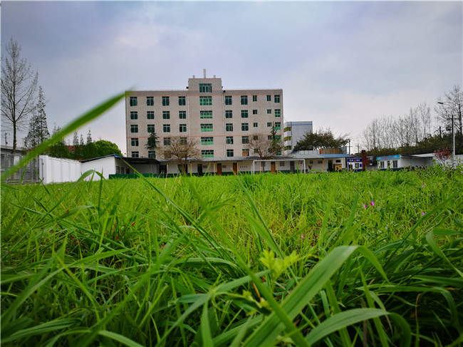 德阳应用技术职业学校图片、照片