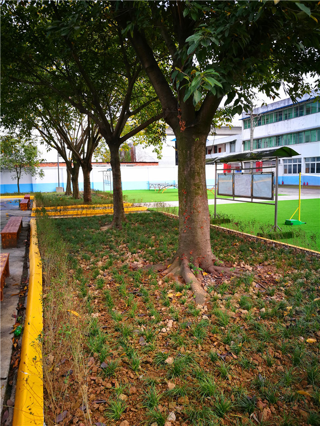 德阳应用技术职业学校图片、照片