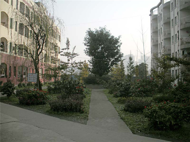 峨眉山市职业技术学校图片、照片